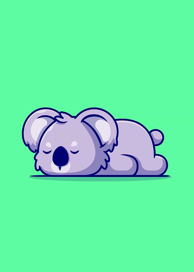 Cute koala sleeping
