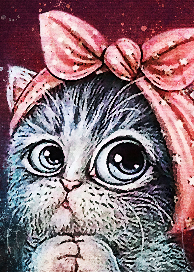 Cute Cat