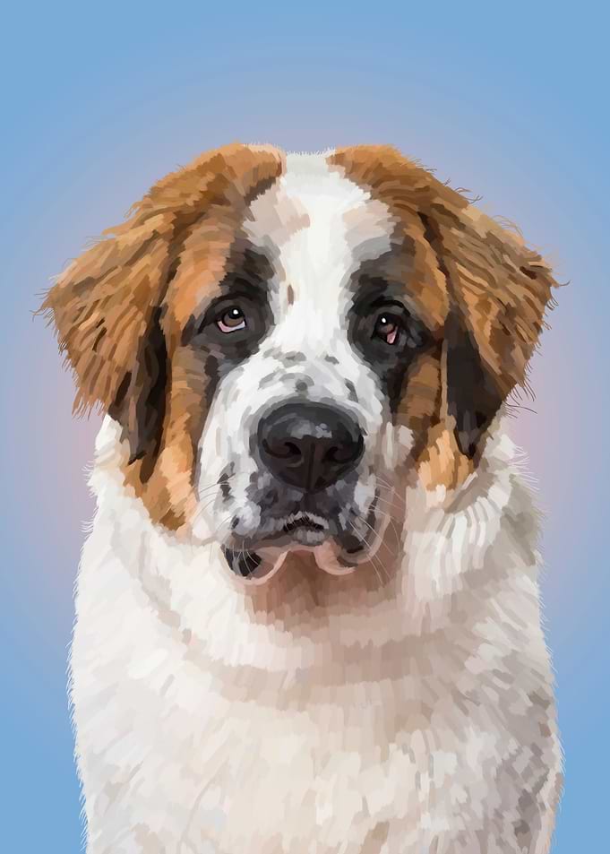 Saint Bernard Dog
