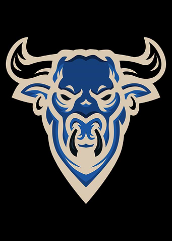 bull logo