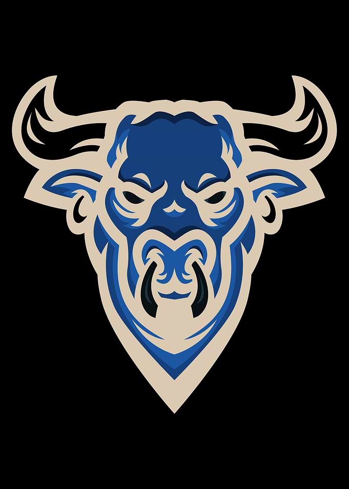 bull logo