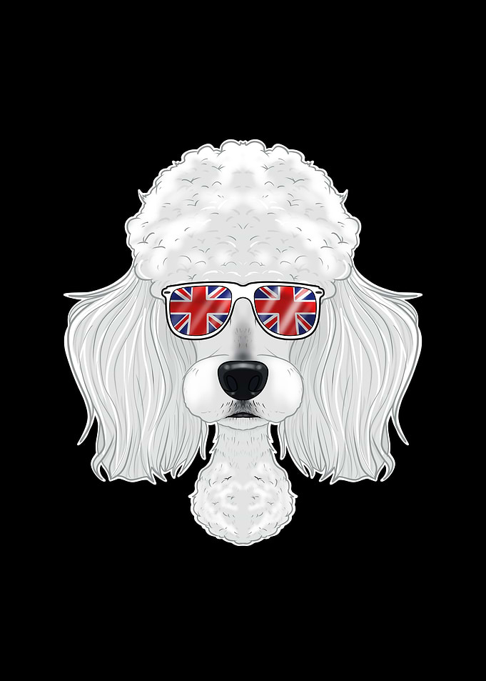 Poodle UK Sunglasses