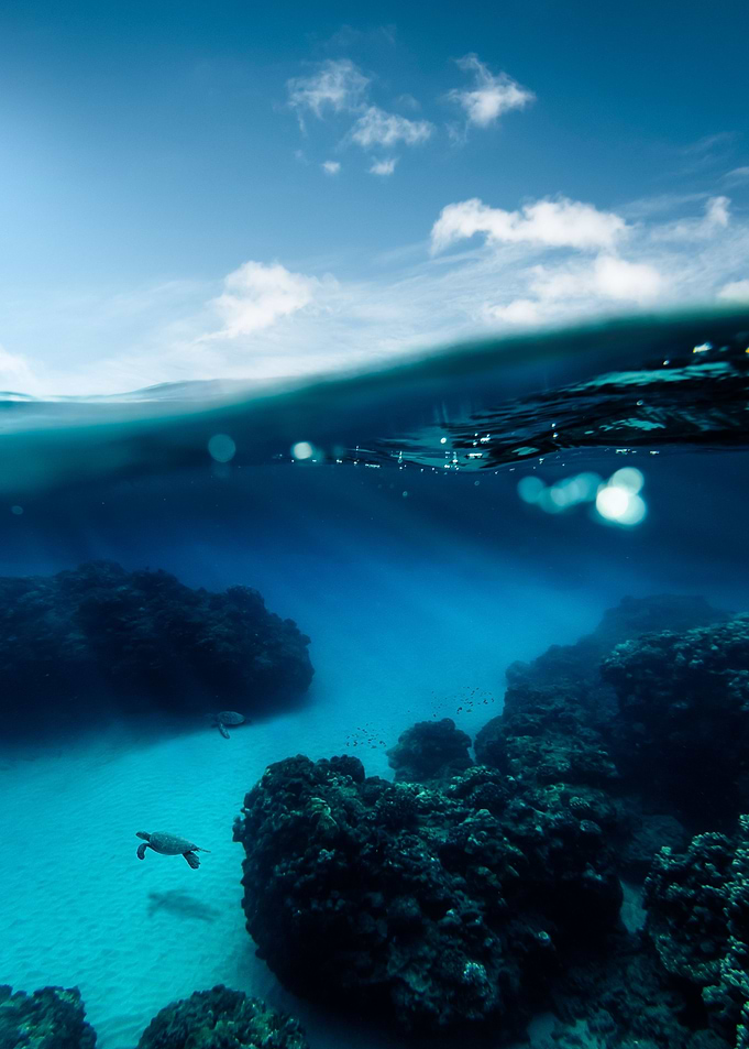 Deep Blue Sea