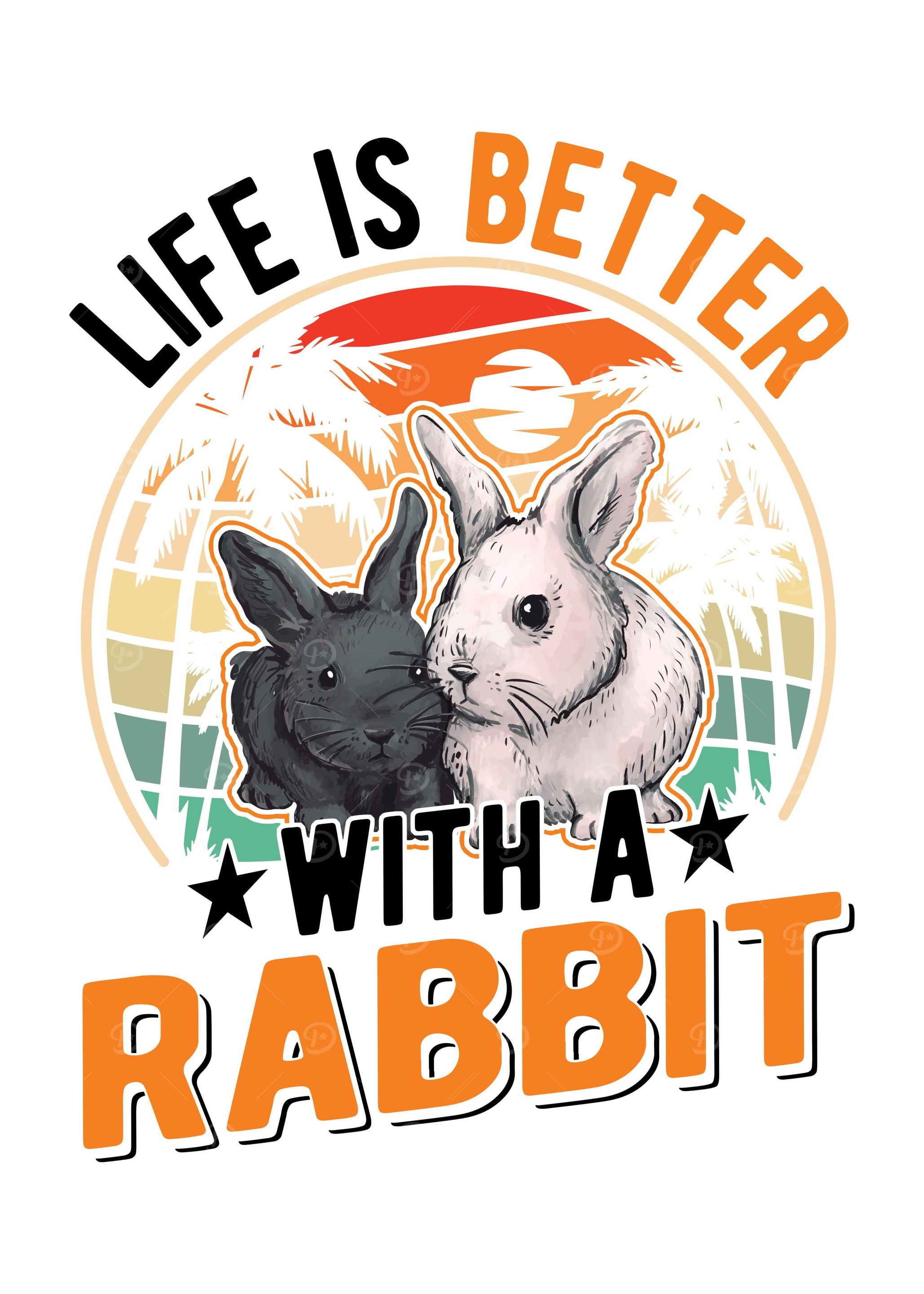 Rabbit Stable Bunny