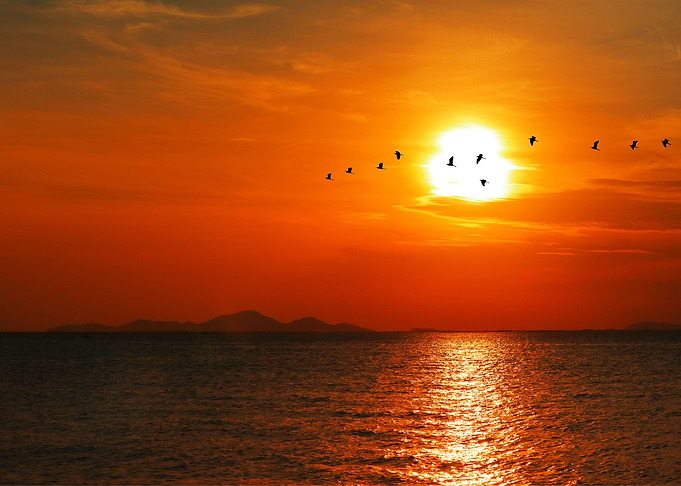 Beach Sunset Nature