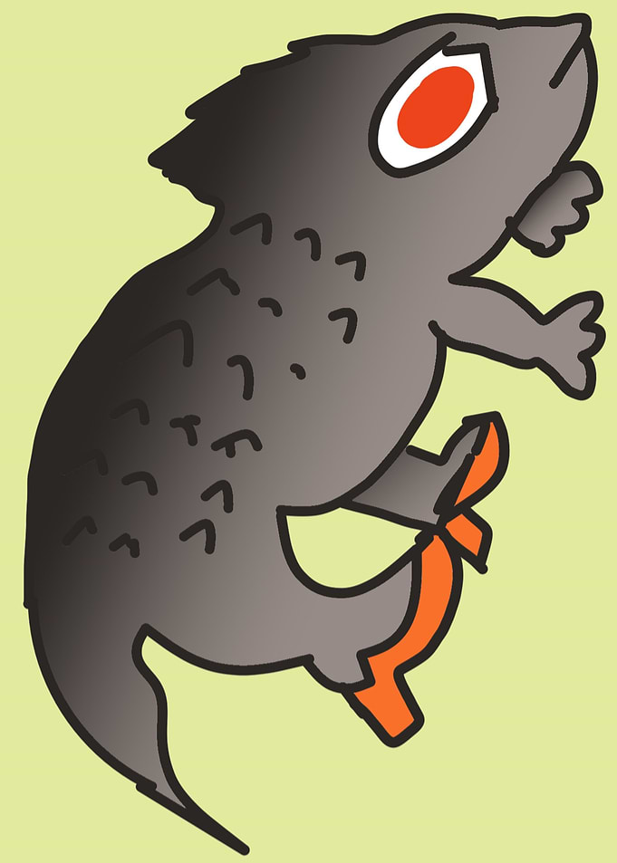 iguana