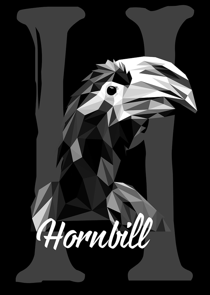 Hornbill