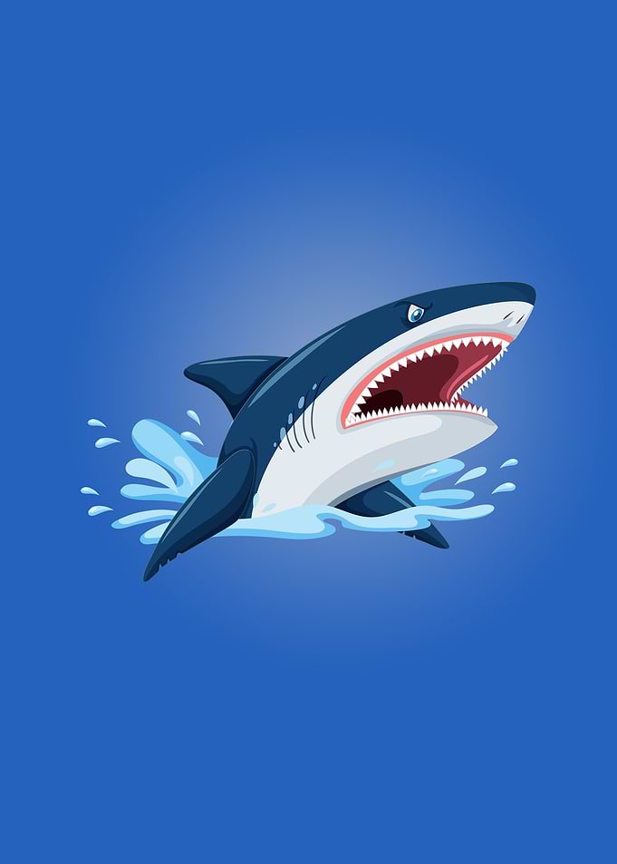 Great white shark attack