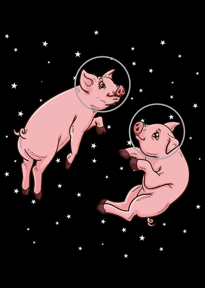 Astronaut Gift Kids Pigs