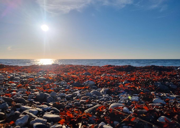 Beautiful Sea with red