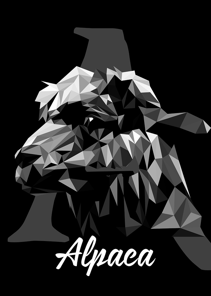 Alpaca