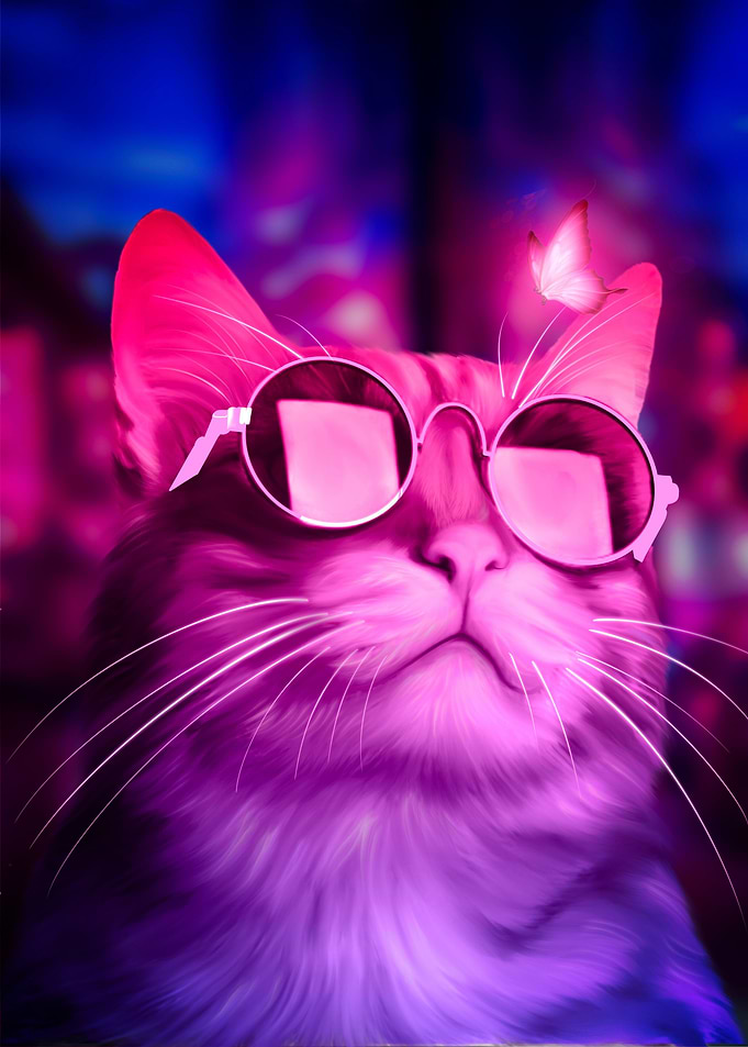 neon cat