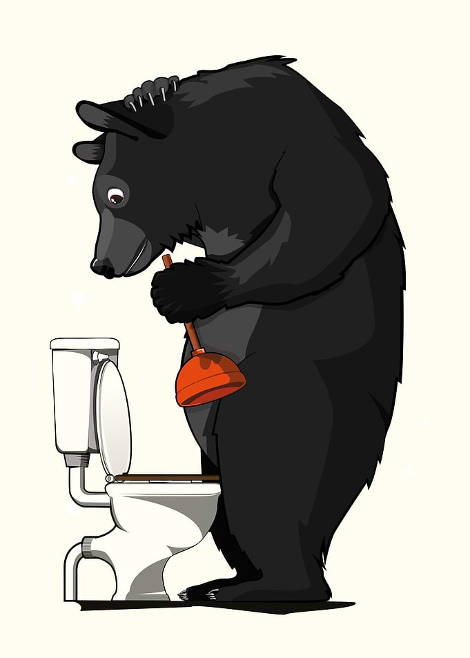 Black Bear Cleaning Toilet