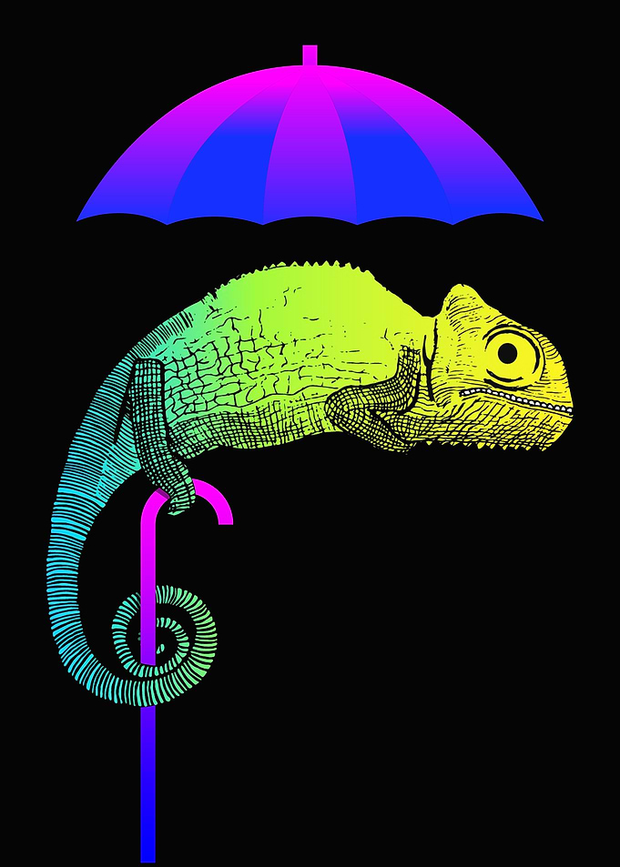 Chameleon