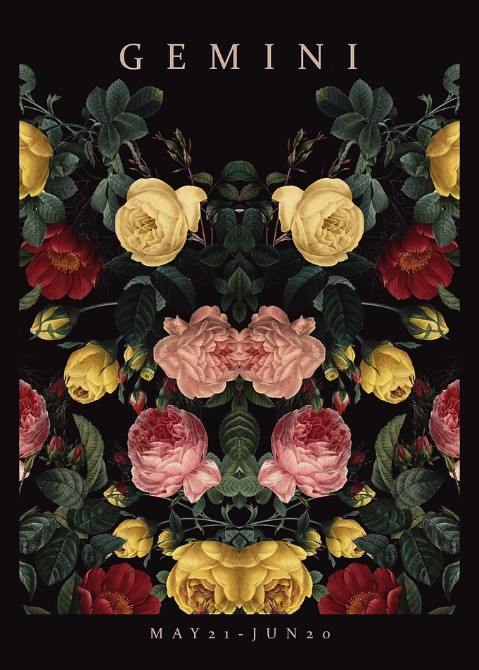 GEMINI