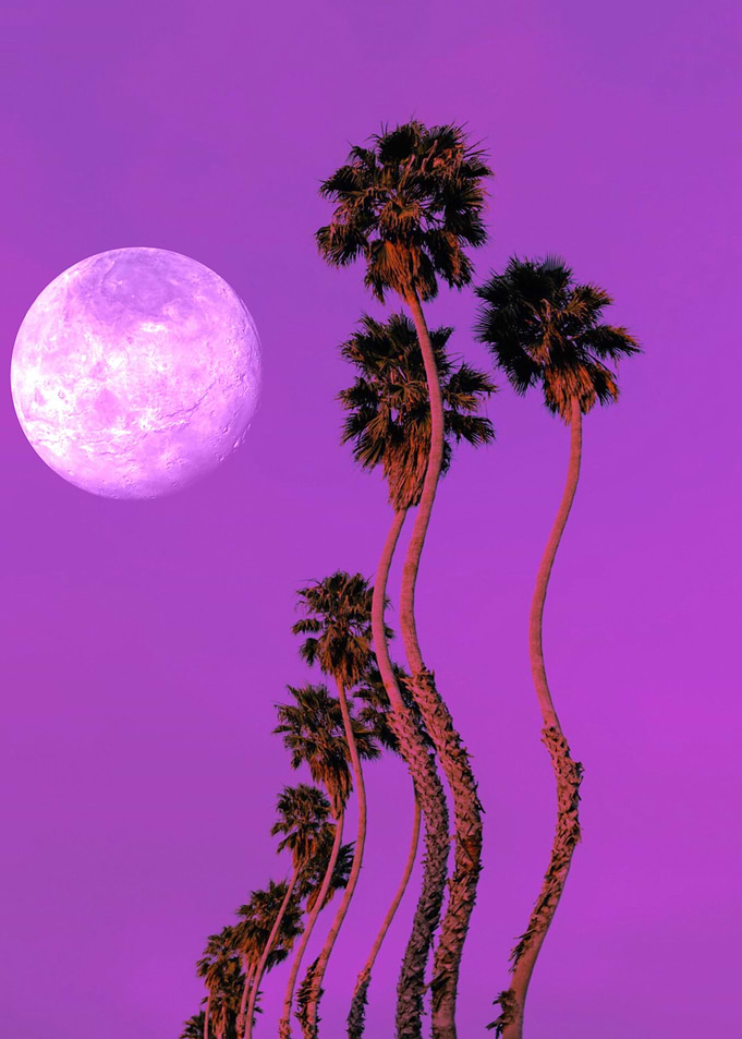 Purple Views