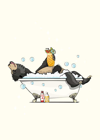 Sloth Bear in the Bath