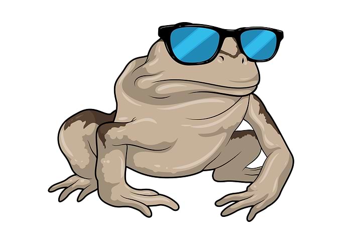 Frog Sunglasses