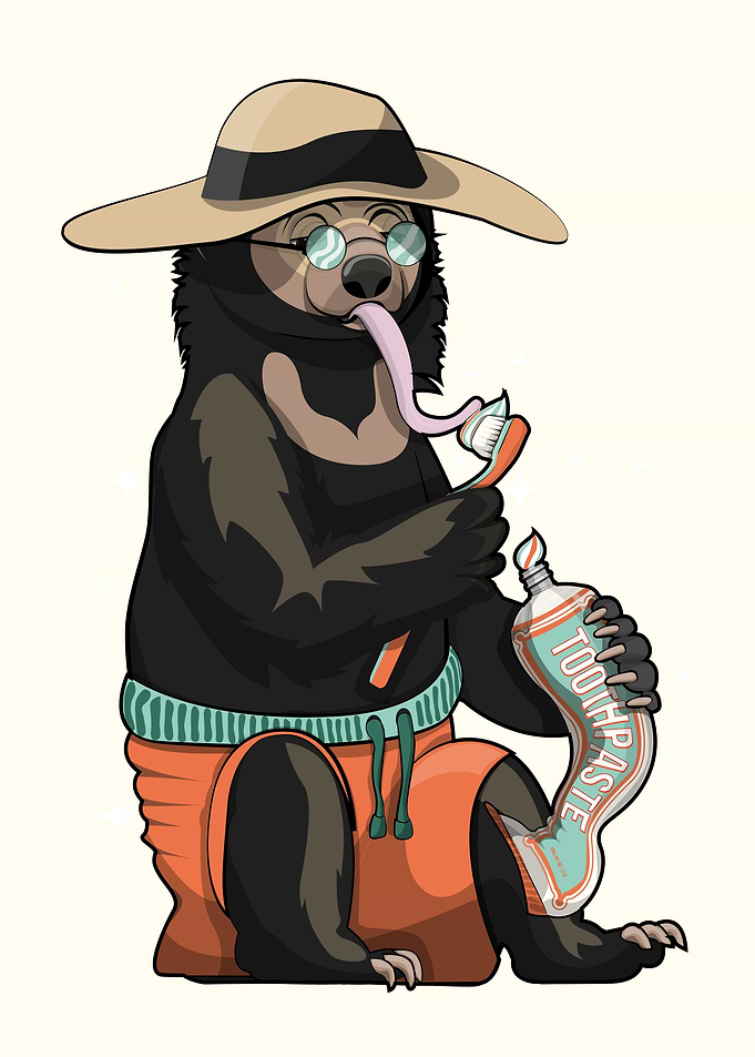 Sun bear brushing teeth