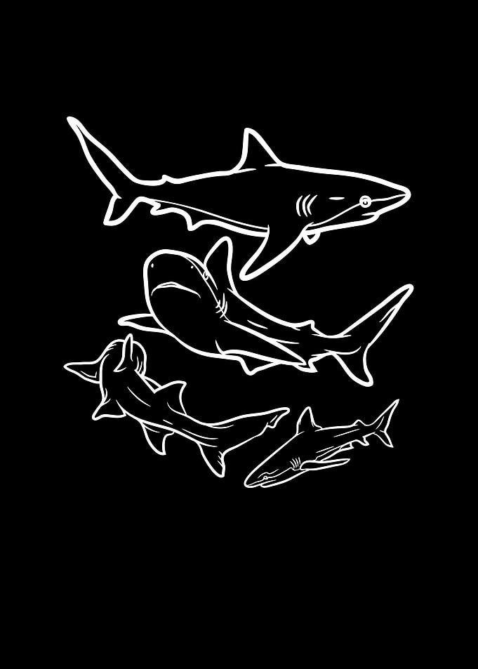 Sharks