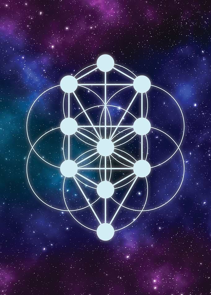 Seed and Tree of Life