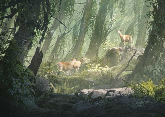 Forest animals