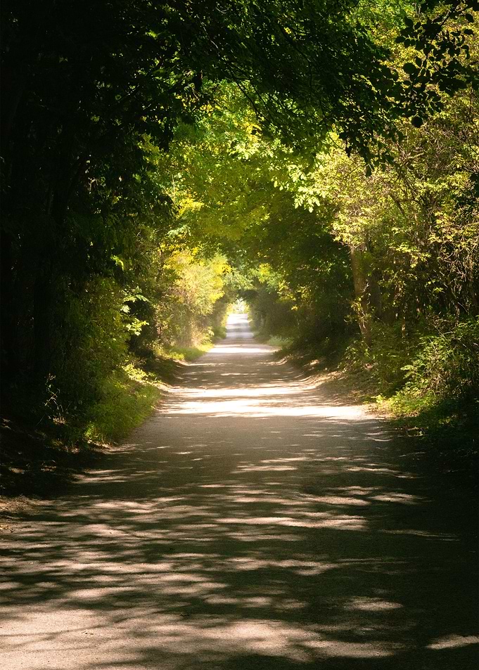 The Tunnel