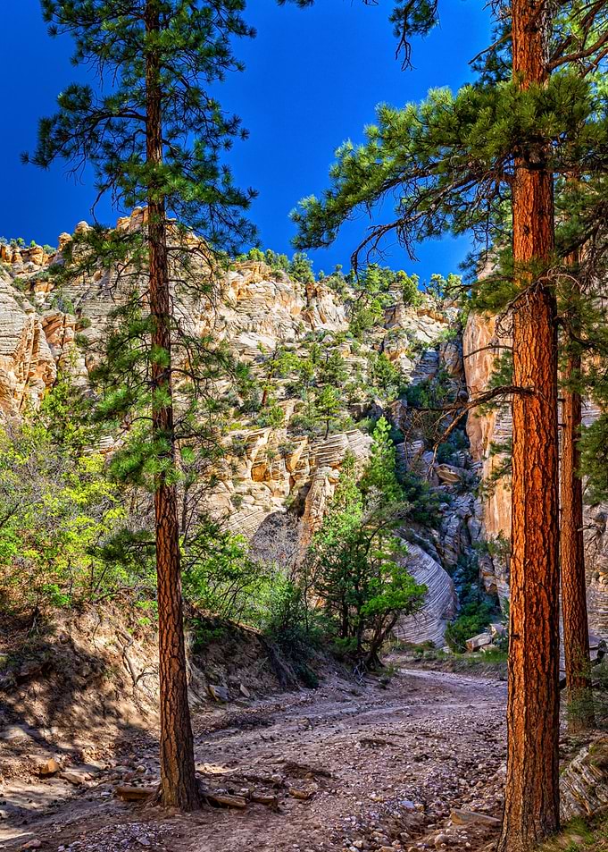 Lick Wash Trail Hike
