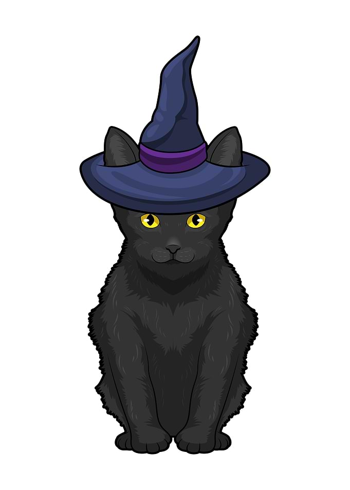 Cat Witch