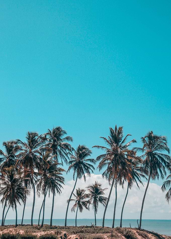 Ocean