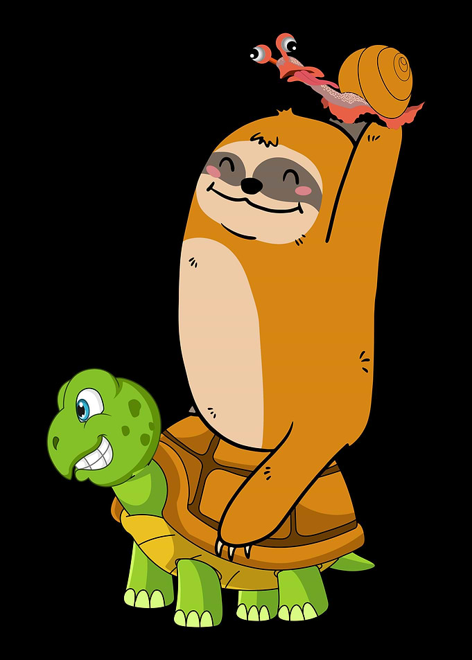 Sloth Turtle Snail