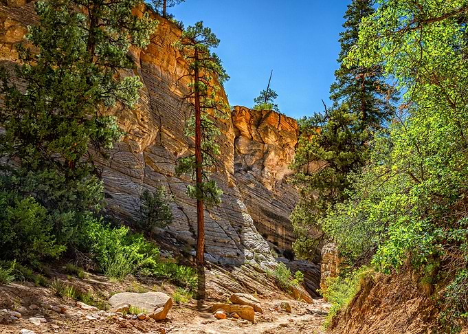 Lick Wash Trail Hike