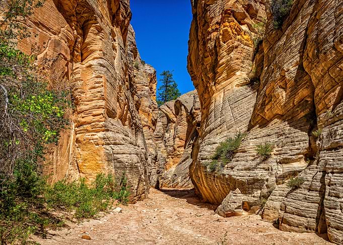 Lick Wash Trail Hike