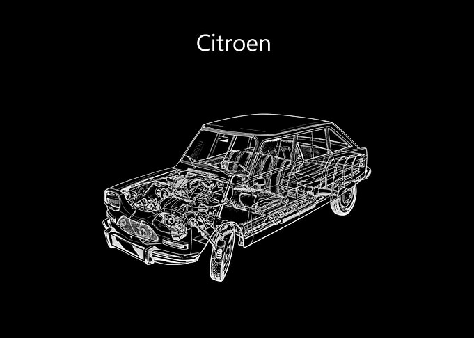Citroen Ami 8