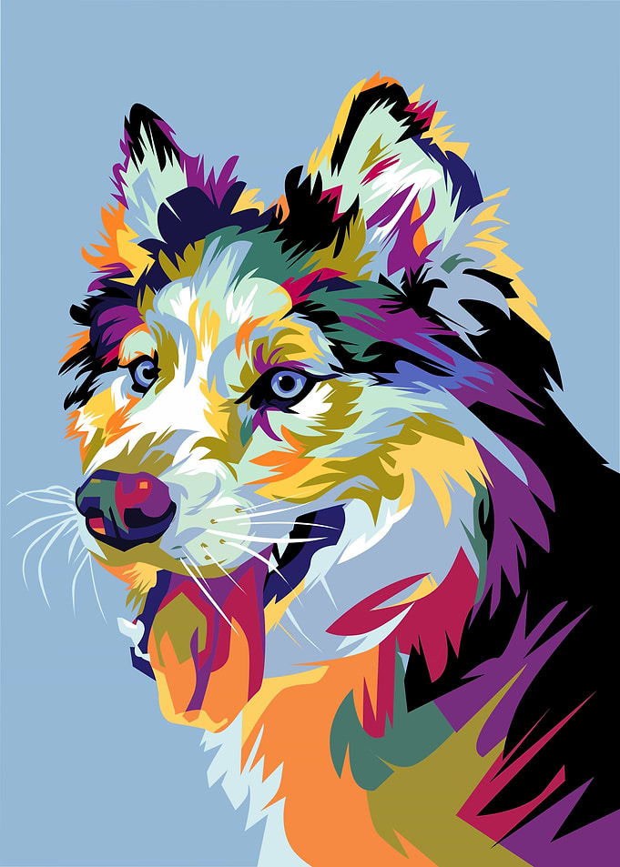 Siberian Husky Dog