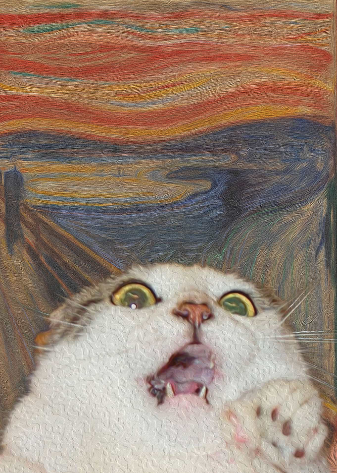 The Meow 03