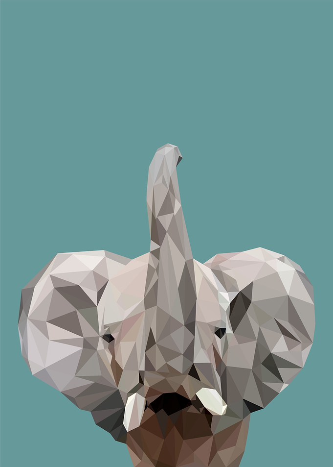 Cute baby elephant