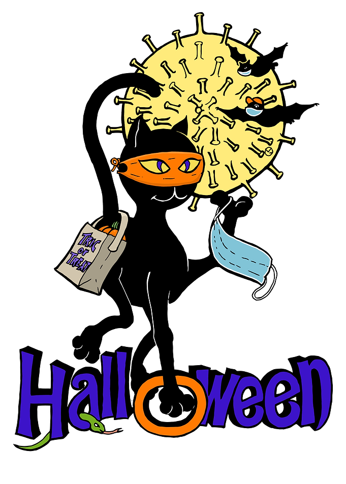 cat ninja costume