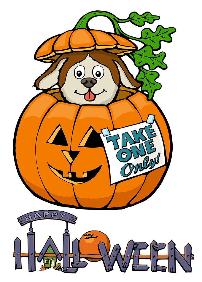 Cute dog in pumpkin