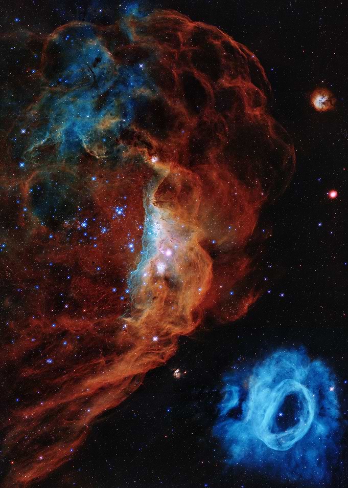 Cosmic Reef