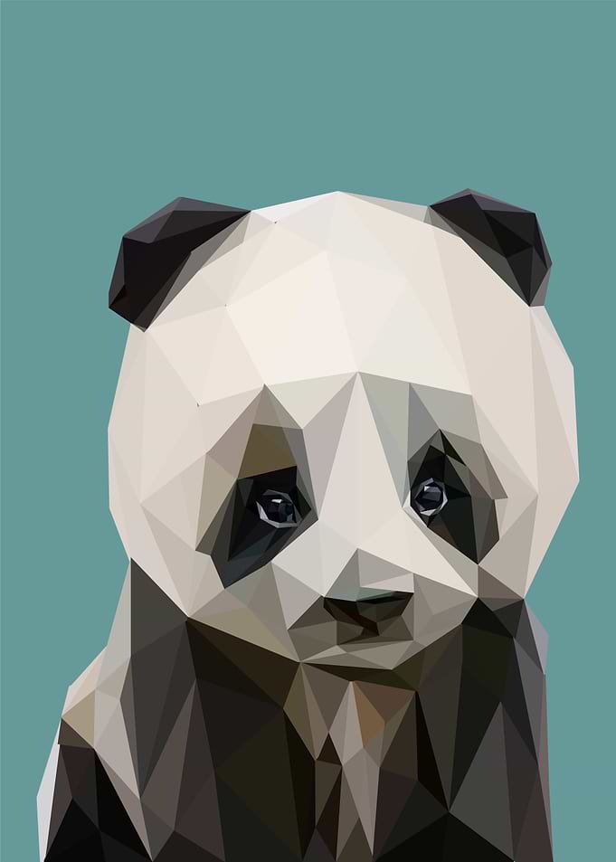Cute baby panda