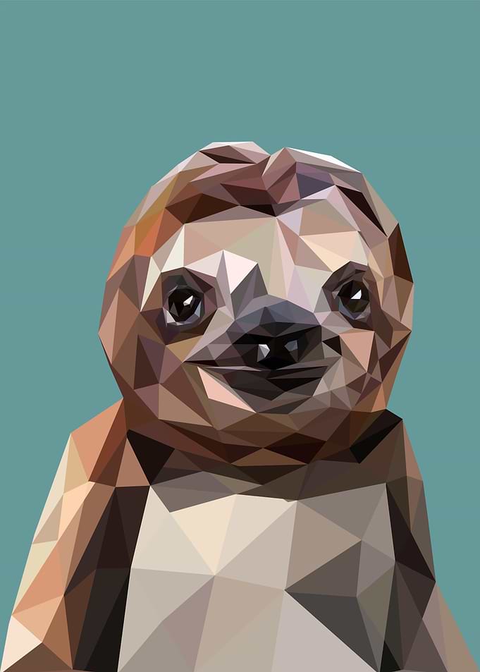 Cute Sloth