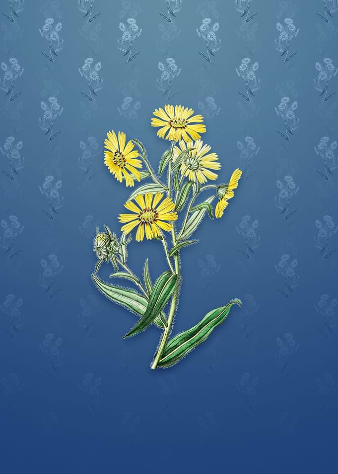 Vintage Madia Flower