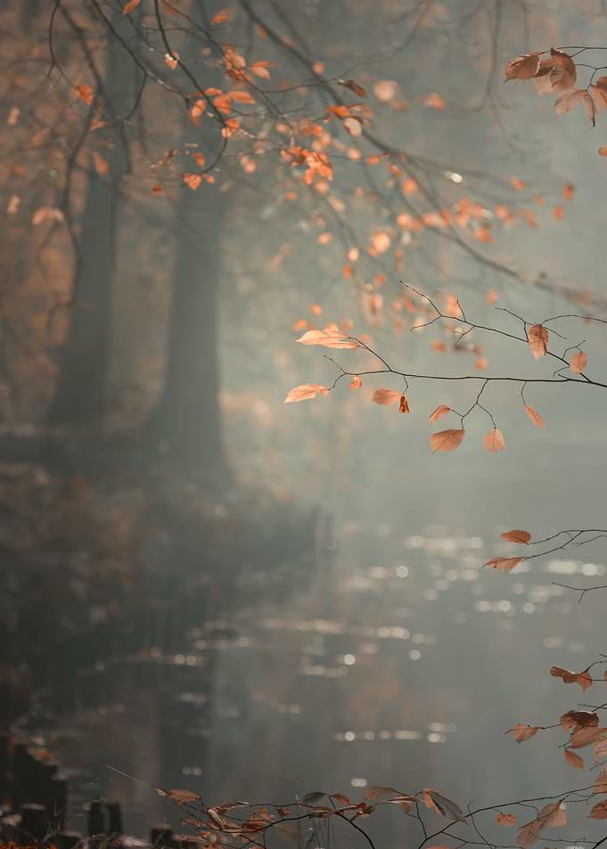 Autumn leaves, forest,tree