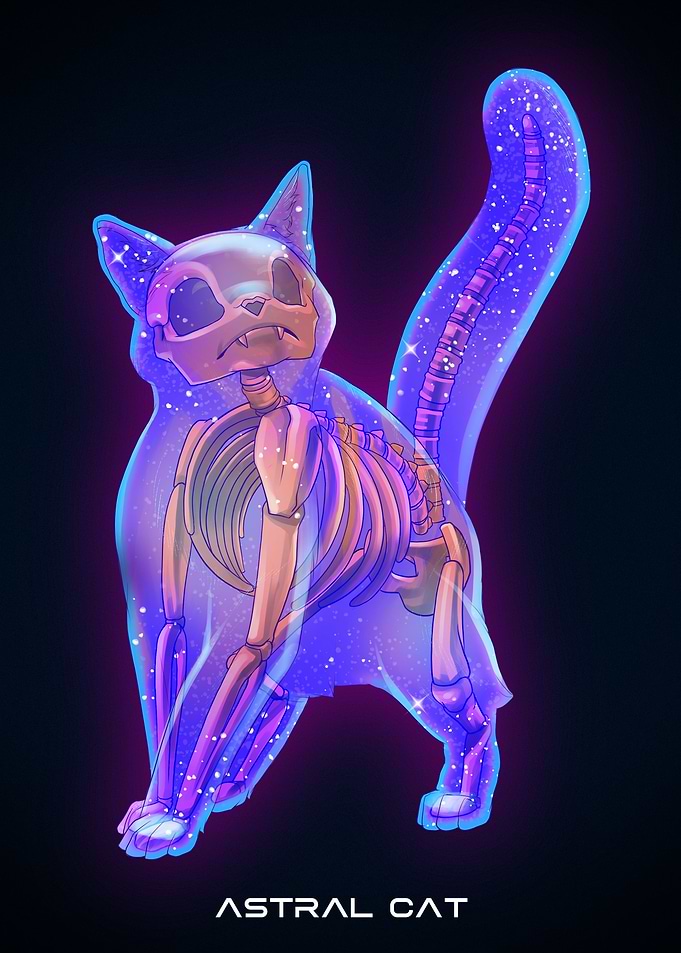 Astral Cat Walking