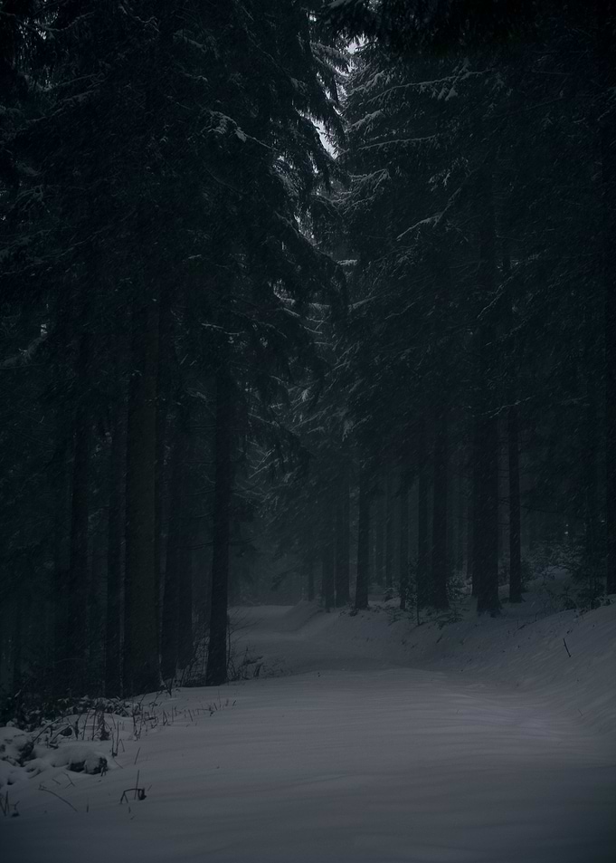 Dark Winter