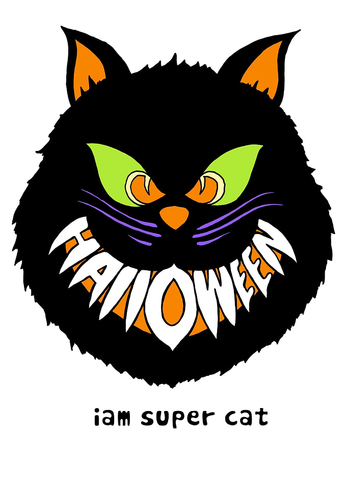 Halloween cat