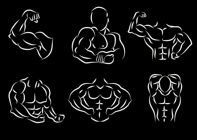 fitness 7