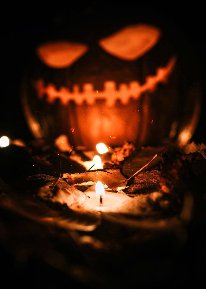 Autumn Vibes