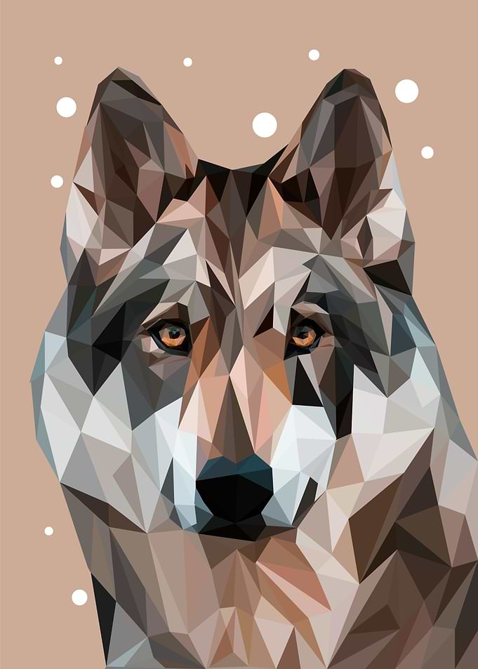 The wolf Animals